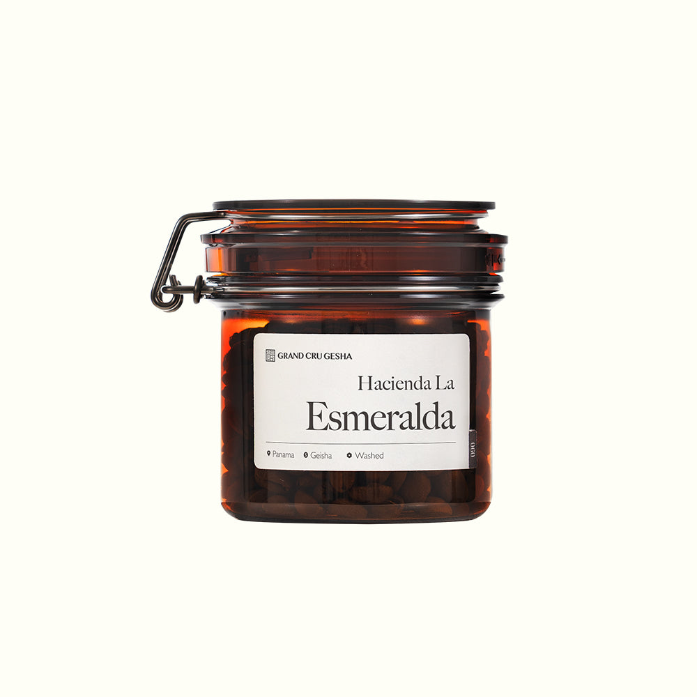 Panama Hacienda La Esmeralda Geisha El Velo